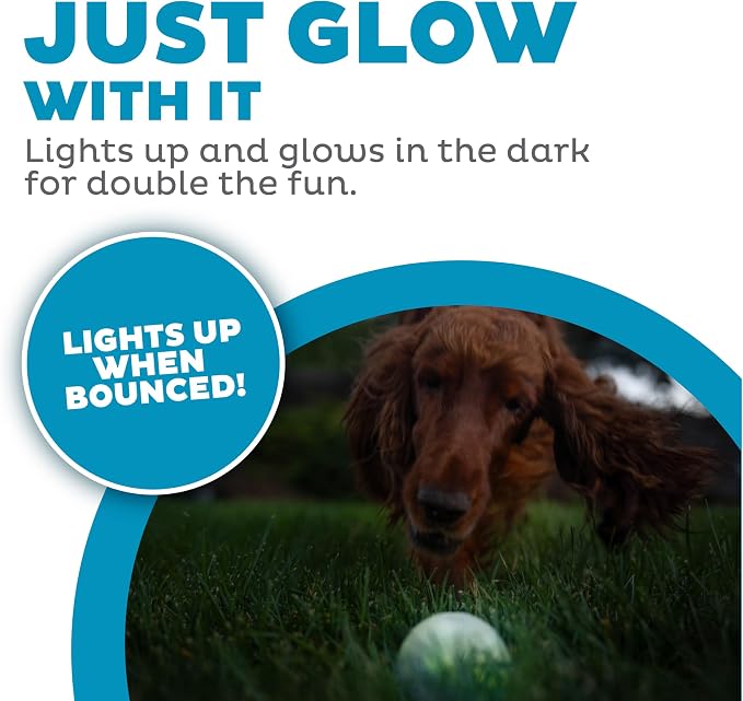 Outward Hound by Planet Dog Strobe Ball Glo Light Up LED Ball Dog Toy