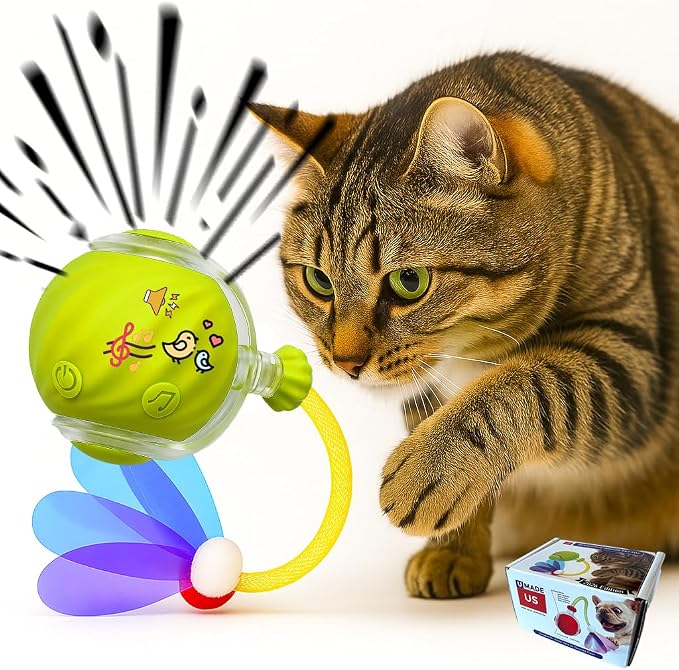 Cat Toys for Indoor Cats – Automatic Kitten Interactive Toy with Speedy Ball Tail as Pet Mental Stimulation - Kittens Small Dogs and Bored Adult Dog Balls to Keep Them Busy 2026 (Green Ball)