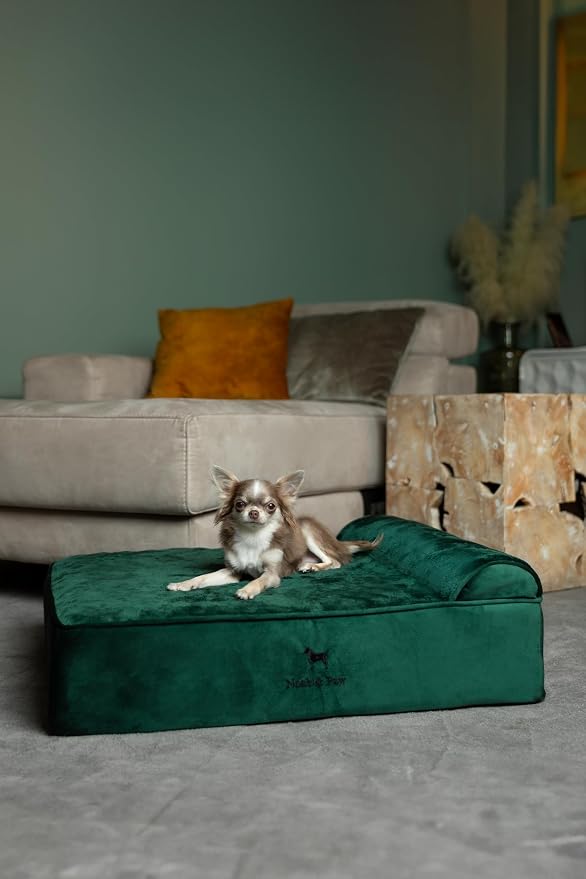 NOAH & PAW Dog Bed, 28x23x7.5 Inch, Orthopedic Dog Beds for Medium Size Pets, Eggshell Memory Foam Infused with Cooling Gel, Water Resistant, Machine Washable, Includes Inner Cover (Velvet Collection)