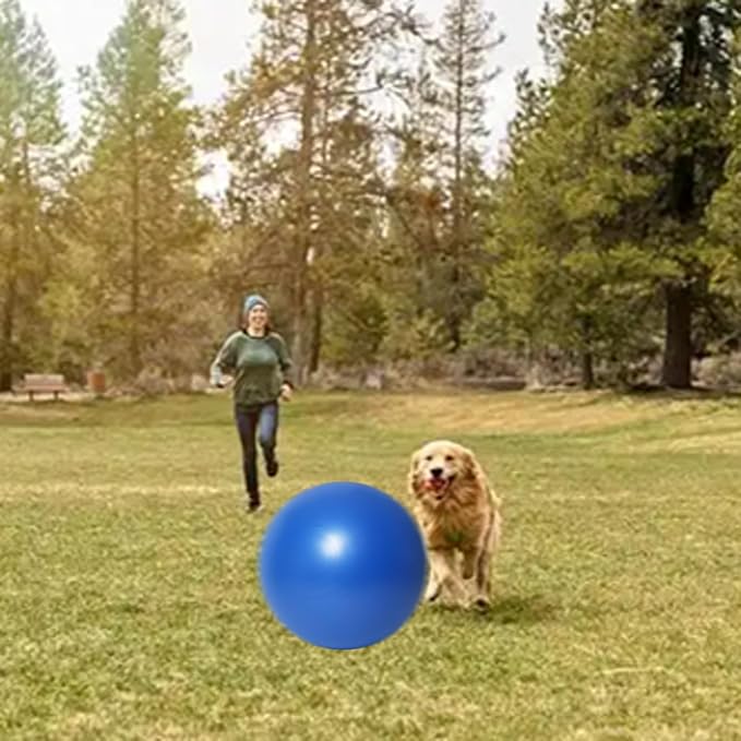 mwater Dogs Herding Ball Large (19inches)