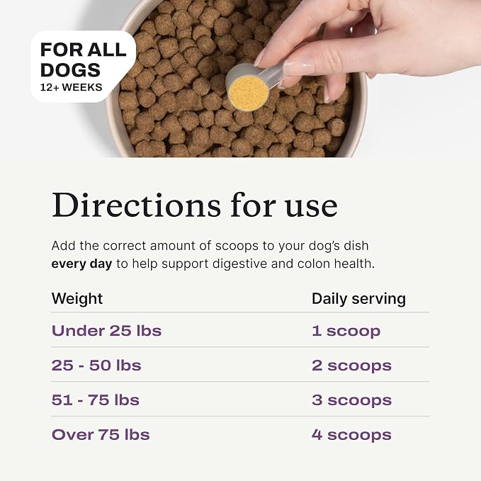 PetLab Co. Pumpkin Fiber for Dogs – Dog Probiotics Powder – High Fiber Supplement with Apple, Psyllium & Mushrooms – Supports Digestion, Gut Health & Regular Bowel Movements – 30 Scoops