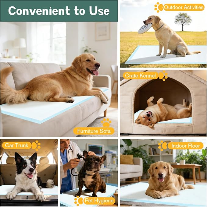Large Puppy Pee Pads for Dogs 31" x 36" 60 Count, 6-Layer Leak-Proof XXL Dog Pee Pads Extra Large, Super Absorbent Quick-Dry Thick Disposable Potty Training Pads