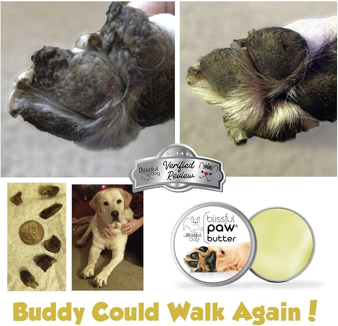 The Blissful Dog Paw Butter, Moisturizer for Dry Paw Pads, Softens and Protects a Rough Paw in Winter, Versatile, Lick-Safe Dog Paw Pad Balm