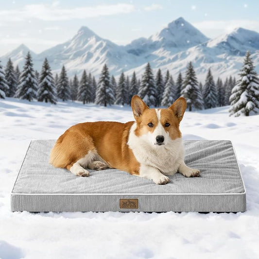 COZY KISS Cooling Orthopedic Dog Bed, Waterproof Egg Crate Foam Pet Bed with Removable Washable Cover, 36x27x3 Inch,Silver Grey