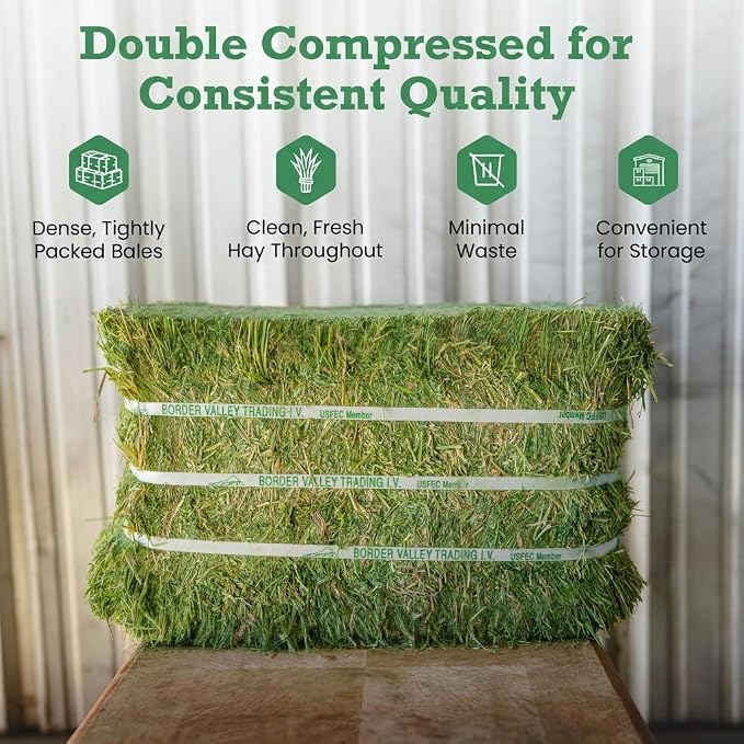 Border Valley Bermuda Grass Hay Bale in Bag, 40 lb, High Fiber Hay for Rabbits, Guinea Pigs, Chinchillas, Tortoises, Horses and Livestock - Soft Textured Grass, Farm-to-Home Freshness