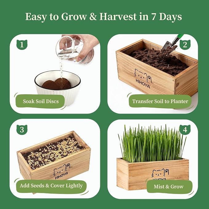 Cat Grass Kit for Indoor Cats - 5 Harvests Cat grass Growing Kit with Wooden Planter, 5 Seed Packets, 6 Soil Disks, Spray Bottle, Tools & Scissors - Natural Hairball Control for Nipping & Nibbling