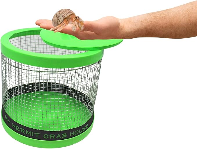 Needzo DIY Terrarium Kit, Medium Hermit Crab Starter Pack with Wire Cage, Palm Tree Water Holder, Sponge, Bag of Food, Gravel, and Misting Water Bottle, All in One Pet Supplies, 7 Inches