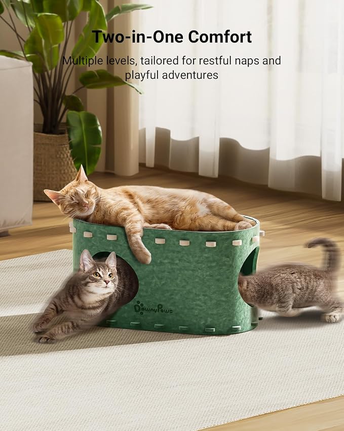 DownyPaws Cat House for Indoor Cats, Cat Bed Cave for Multiple & Large Cats Up to 22 Lbs, Scratch Resistant Peekaboo Cat Caves, Foldable Cat Tunnel Enclosed Bed, PeekaPurr, Cream and Forest