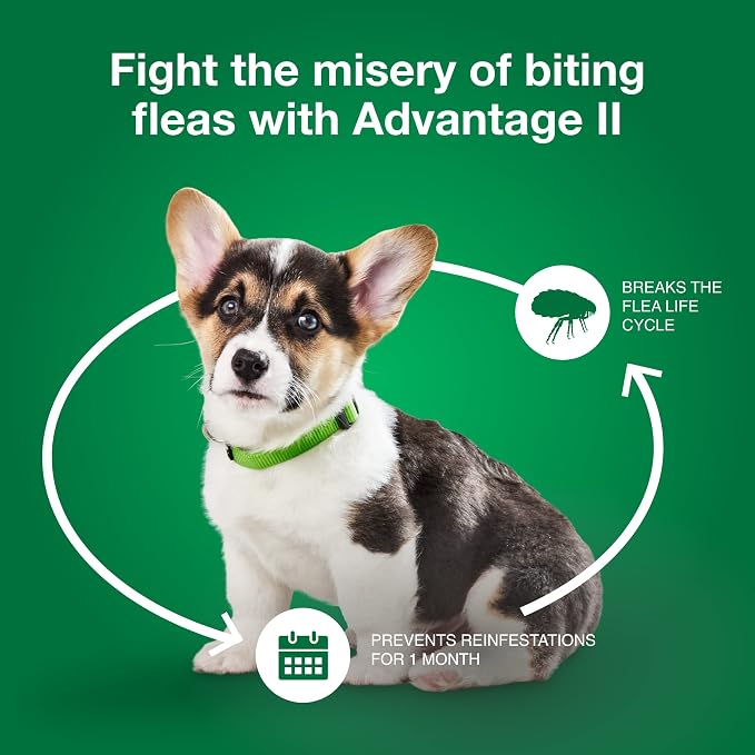 Advantage II Small Dog Vet-Recommended Flea Treatment & Prevention | Dogs 3-10 lbs. | 4-Month Supply