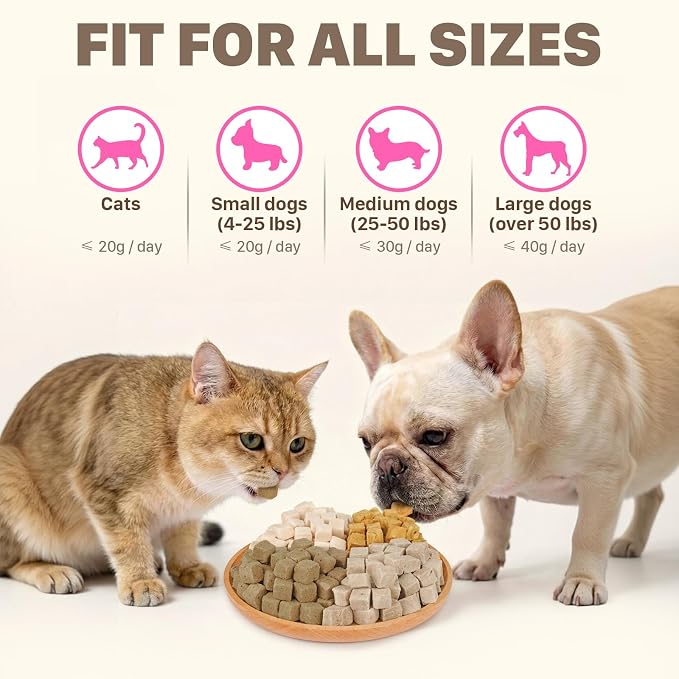 Freeze Dried Dog & Cat Treats – Single Ingredient Salmon, High Protein Training Treats & Food Topper, 10.6 oz