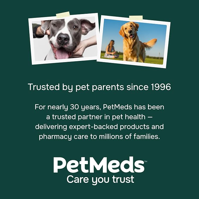 PetMeds Calm Supplement for Dogs - Anxiety & Stress Relief with Vitamins, Theanine & Lemon Balm - Supports Dogs During Travel, Thunder & Separation - Beef & Sweet Potato Flavor - 60 Soft Chews