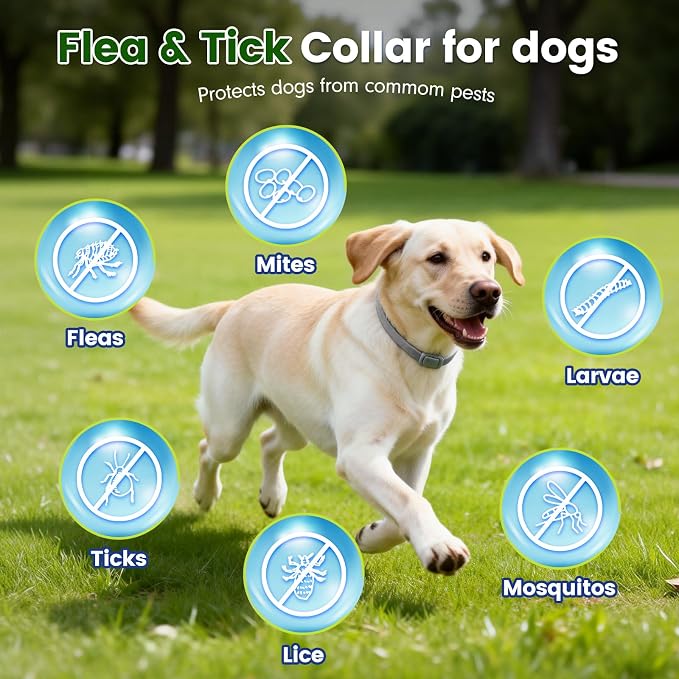 KOOSA Flea and Tick Collar for Dogs, 4 Packs Flea Collar for Dogs with Natural Essential Oils, Waterproof & Adjustable Flea and Tick Prevention Collar for Small Medium Large Dogs & Puppies, Grey