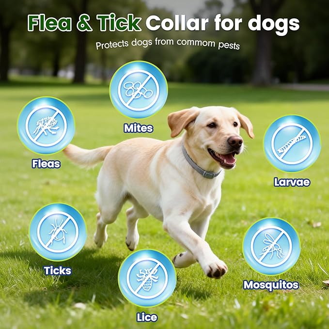 KOOSA Flea and Tick Collar for Dogs, 5 Packs Flea Collar for Dogs with Natural Essential Oils, Waterproof & Adjustable Flea and Tick Prevention Collar for Small Medium Large Dogs & Puppies, Grey 01