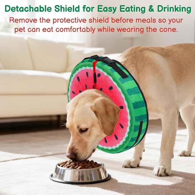 Sponge Dog Cone After Surgery, No Inflation Required Dog Donut Collar to Stop Licking, Inflatable Cone Alternatives for Medium Pets, Soft Recovery Collar with Protective Shield (Watermelon,M+)