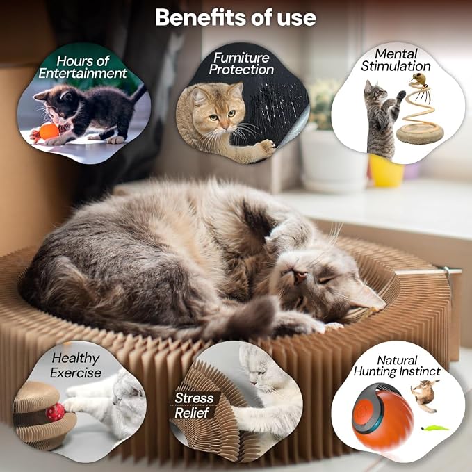 Kitty Kurlz Cat Toy - Interactive Cat Scratcher Set with Flexible Cardboard Accordion, Plush Mouse & Magic Organ Toy - 3-Pack Entertainment Bundle for Indoor Cats