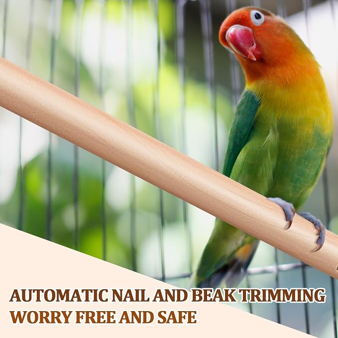 Sintuff 8 Pcs Bird Perches for Cage Accessories, Wooden Perch Rods Replacement with Double Head Slots, 0.6 Inch Diameter Natural Wood Stand for Parrot Macaw Cockatoo Parakeet (18 Inches)