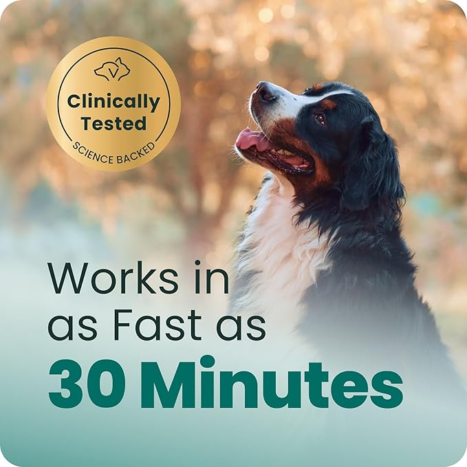 VetriScience Clinically Tested Composure Calm & Confident Chews for Dogs – Helps Manage Occasional Stress & Supports Balanced Behavior, Non-Drowsy Soft Chews with L-Theanine, Bacon Flavor, 60 Count