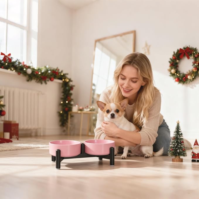 Raised Ceramic Dog Bowl Set - Elevated Double Dishes with Stainless Steel Stand - Food and Water Bowls for Small Dogs and Indoor Cats - Each Holds 1.6 Cups (10.8 fl oz) - Pink