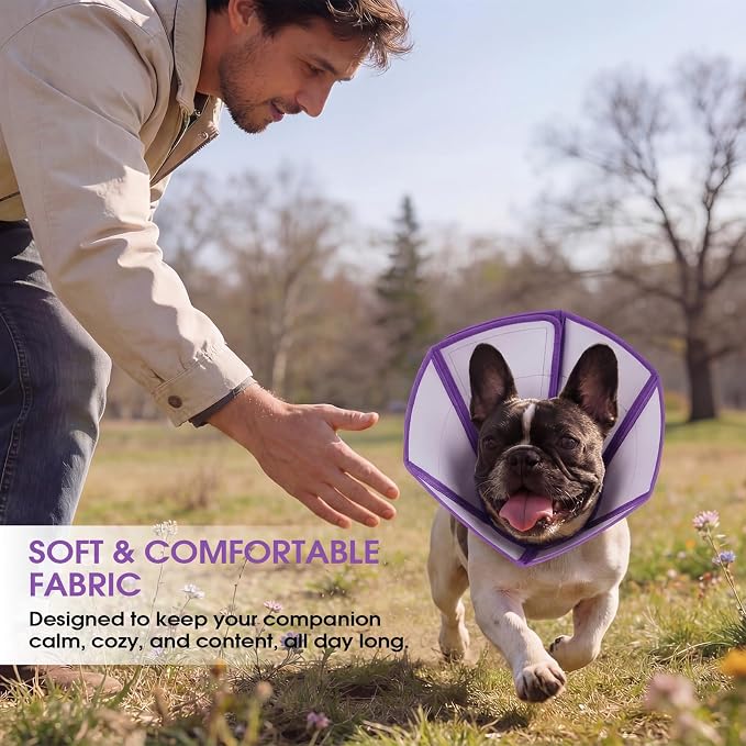 Soft Elizabethan Collar for Dogs After Surgery, Comfortable Protection Alternative for Surgery, Spay, Injury, Skin Treatment, Anti-Licking Recovery Cone Comfortable Neck Guard, Purple, Size L