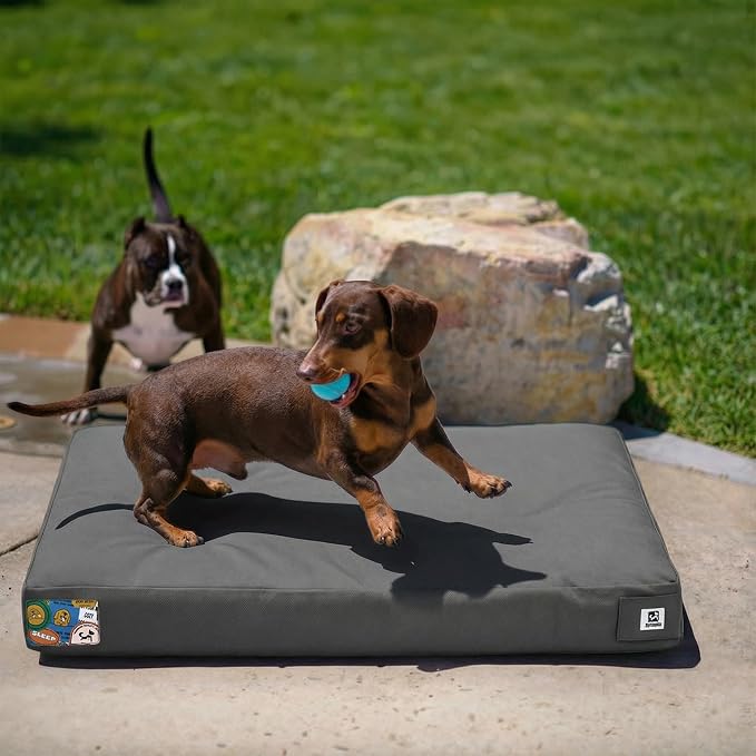 Sytopia 30 Inch Canvas Outdoor Dog Bed for Medium Dogs, Durable Dog Bed with Waterproof Machine Washable Removable Cover, Indoor Patio Pet Pad for Crate, Dark Grey