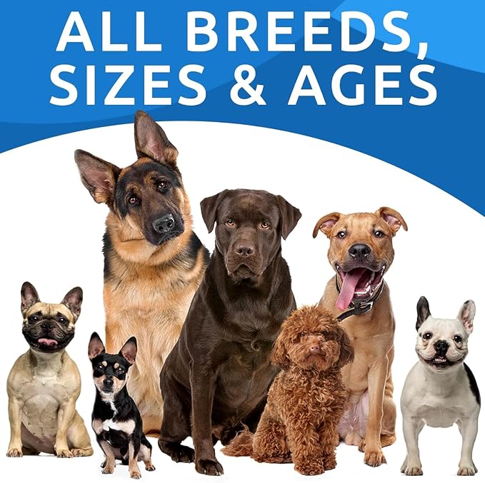 BARK&SPARK Dog Allergy Relief Soft Chews for Skin Health & Seasonal Allergies - Anti-Itch Supplement w/Omega-3, Quercetin & Bromelain Immune Treats for Dry Skin & Hot Spots - Peanut Butter - 180ct