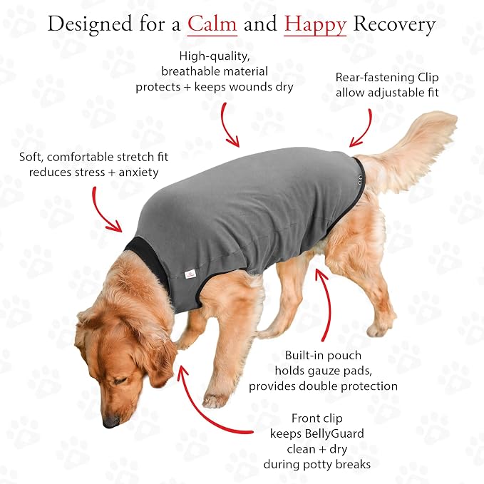 BellyGuard Dog Surgery Recovery Suit, Post-Op Dog Recovery Suit for Female Spay & Male Neuter, Comfy Onesie for Pets, Surgical Body Cover for Canine Healing Support