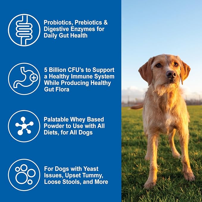 DOGZYMES Daily Balance Canine Supplement by Nature’s Farmacy – Probiotics + Prebiotics + Digestive Enzymes – 5 Billion CFUs – Whey Base – 2 lbs (908 g)