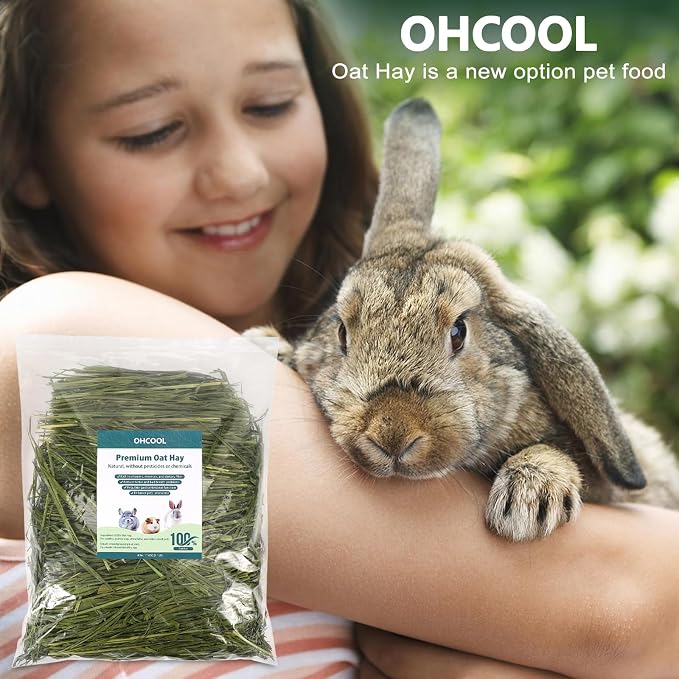 Premium Oat Hay for Pets - Dust Free Natural Green Fresh Pet Food Hay for Rabbits, Guinea Pigs, Chinchillas, Hamsters & Gerbils - 1.08 lbs