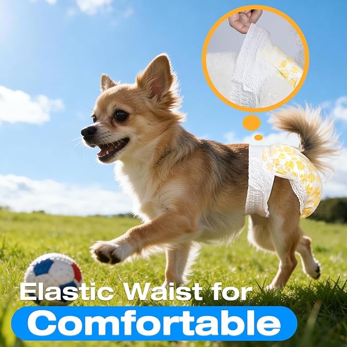 Pet Soft Disposable Dog Diapers Female, Pull Up Doggie Diapers for Female Dogs, 360°Stretchy Waist Puppy Diapers, Super Absorbent Doggy Diaper Leak Proof Design for Dogs in Heat (Medium, Count, 20.0)