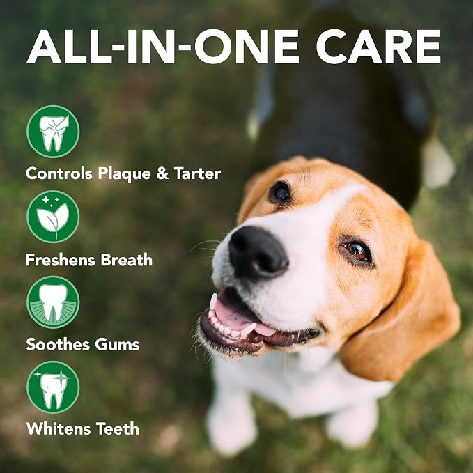 Vet's Best Ear Relief Finger Wipes | Ear Cleansing Finger Wipes for Dogs | Sooths & Deodorizes & Dog Toothbrush & Toothpaste Kit - Natural Ingredients Reduce Plaque, Whiten Teeth, Freshe