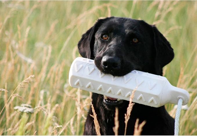 Avery ASD 3" HexaBumper Hunting Sporting Gun Dog Game Retriever Dummy | Water & Upland Mark Training Retrieval Tool | Hexagonal, Floating Design, Easy-Grip Texture, Throw Rope, White (02731)