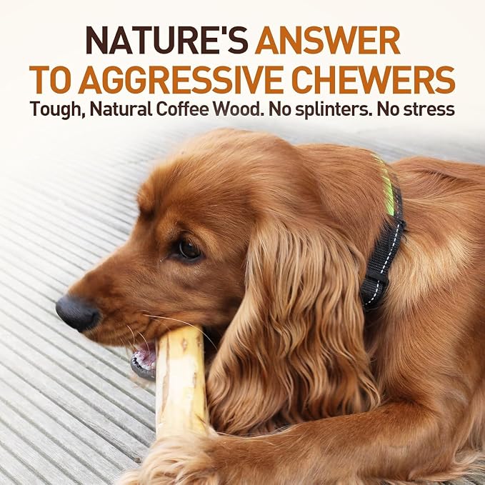 Wildfang® Coffee Wood Dog Chew, Large - Tough Chew Toys for Aggressive Chewers, Dog Teething Toys for Puppies, Training for Chewing Muscles, Coffee Tree Sticks for Large Dogs (55-99 lbs)
