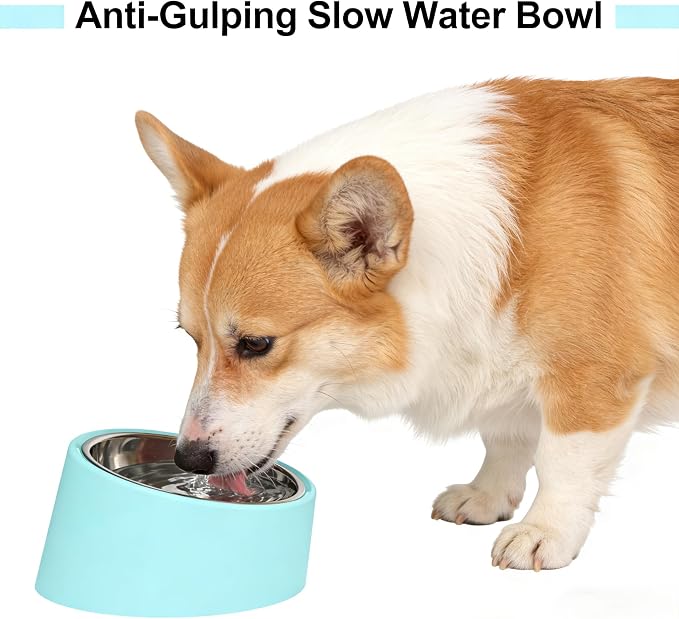 15° Tilted Anti‑Gulping Water Bowl for Medium Dogs (10-15kg, Blue, 350ml) – Non-Spill Stainless Steel Slow Water Feeder Dish, Vet Recommended Raised Pet Waterer