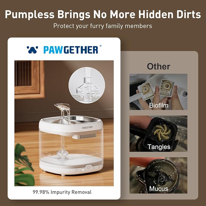 PAWGETHER® Cat Water Fountain with 4 Filters, Ultra Quiet Pumpless Pet Water Fountain with Stainless Steel Tray, 67oz/2L Water Fountains for Cats Indoor with 360° Motion Sensor for Cats & Dogs