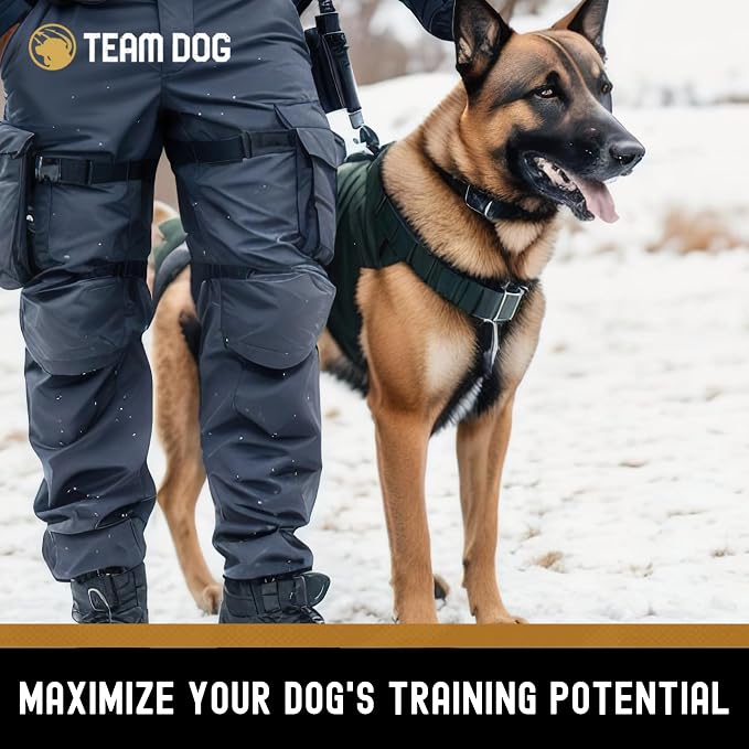 Team Dog Freeze-Dried Raw Pork Soft Dog Treats & Dog Food Topper | Grain Free Dog Treats for Training | 100% USA-Sourced Pork for Cleaner Teeth, Digestive Health & Muscle Growth | 14 oz Bulk Size