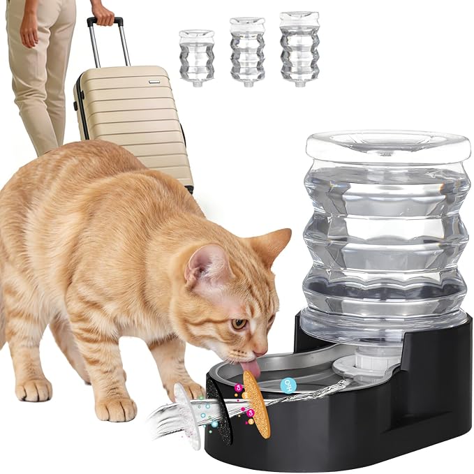 RIZZARI Black 5L Gravity Dog Water Dispenser with Stainless Steel Bowl - Activated Carbon Filter Helps Soften Water & Reduce Odor, Supports Urinary Health, for Small Pets in Patio or Garden
