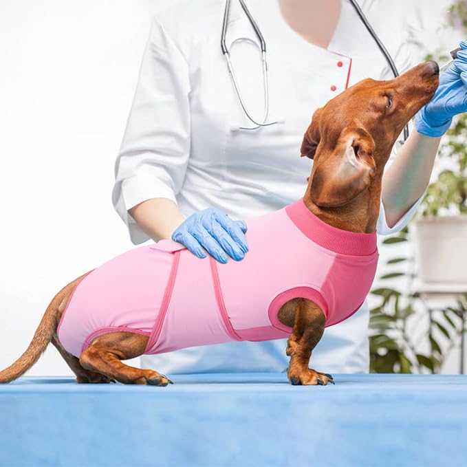 Kuoser Recovery Suit for Dogs, Soft Dog Spay Suit for Female Surgery Recovery, Breathable Dog Neuter Recovery Suit Male, Anti Licking Dog Onesie for Abdominal Wounds Cone Alternatives, Pink XS