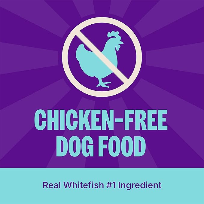 Wellness CORE Adult Dry Dog Food, Grain Free Kibble, Natural, High Protein, Chicken Free, Whitefish, Herring and Salmon Recipe, 4 lb Bag