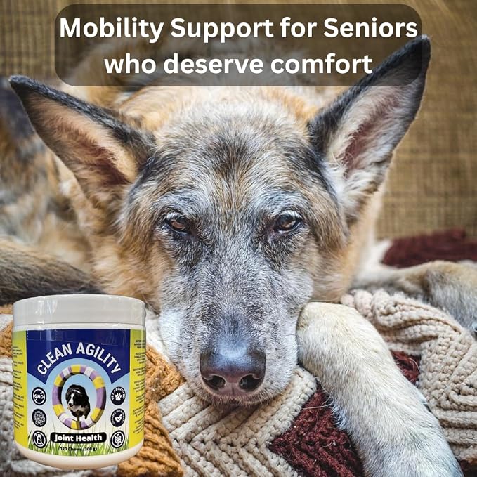 Joint Health for Dogs - Most Effective Hip and Joint Supplement Available - Formulated with Veterinarians, Glucosamine, Chondrointin, MSM, Turmeric (Soft Chew)