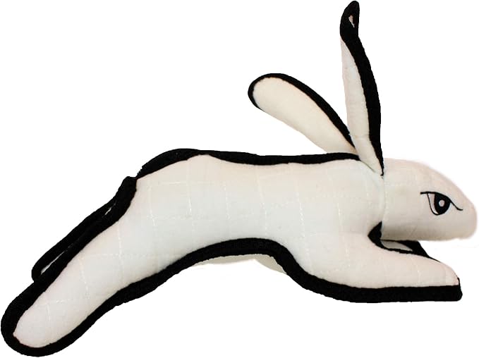 TUFFY® : 2 Pack Rabbit Dog Toy: Ultra Durable Plush Toy with Multiple Layers & Reinforced Seams, Washable and Floats, Original Construction