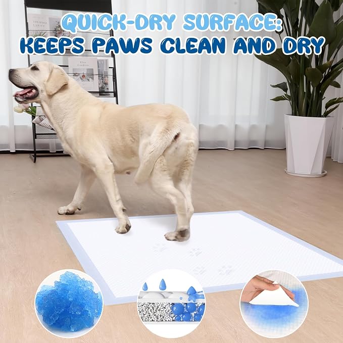 XXL Pee Pads for Dogs 36x36, 30 Count, Extra Thick XXXL Dog Pee Pads, 6-Layer Heavy Duty Holds Up to 12 Cups, Quick Dry Leak Proof Potty Training Pads for Large Dogs, Extra Large Puppy Pads