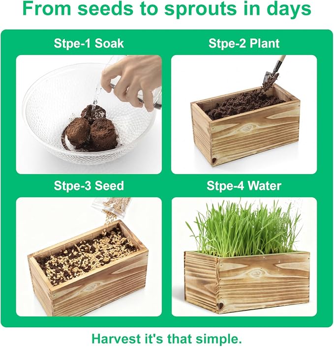 5 Indoor Flower Growing Kit with Cat Grass Kit