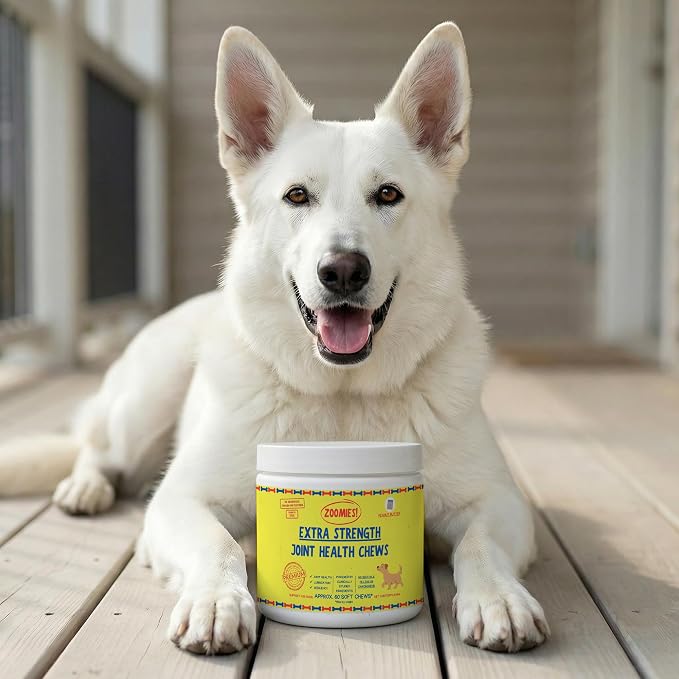 Zoomies Hip & Joint Supplement for Dogs - Soft Chews with Eggshell Membrane, Boswellia, MSM - Joint Support for Senior Dogs - Made in USA - 60 Chews