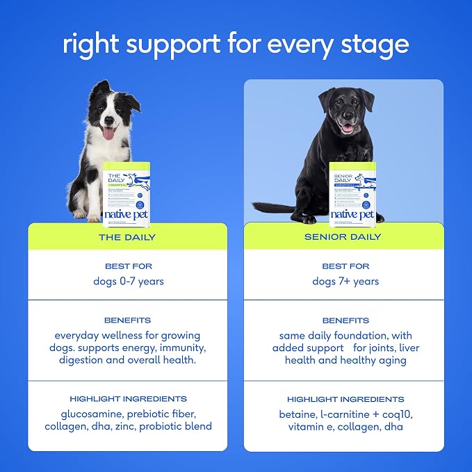 Native Pet Senior Daily Dog Vitamins & Supplements – 12-in-1 Dog Multivitamin Powder for Senior Dogs – Supports Mobility, Cognition, Digestion, Immune Health & More – 120 Scoops