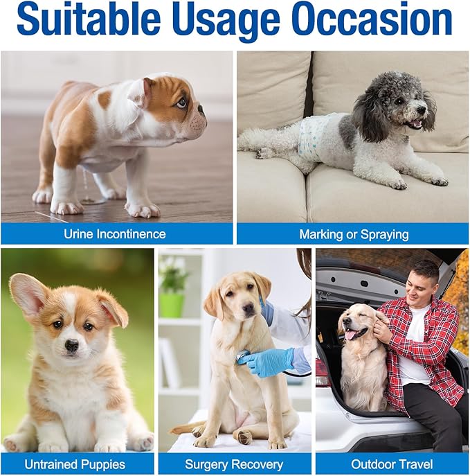 Pet Soft Disposable Male Dog Wraps - Dog Diapers for Male Dogs, Puppy Diapers 12pcs Large