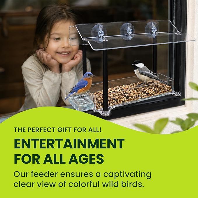 Nature Gear Window Bird Feeder with Strong Suction Cups, Clear Acrylic Window Mounted Bird Feeder, Weather-Resistant, Durable, Squirrel-Resistant, Column Style
