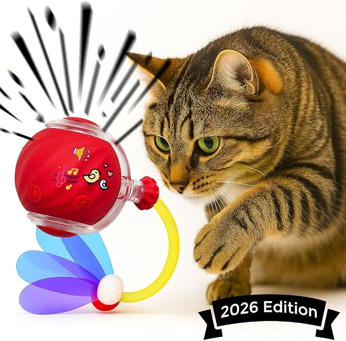 Interactive Cat Ball Toy with Tail for Indoor Cats Kittens – 2026 - Automatic Smart Rolling Motion Pet Exercise for Small Dogs | Rechargeable Motion-Activated, USB Charging Self-Play (RED)