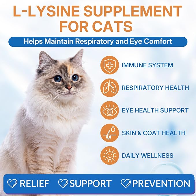 Cat & Dog Natural Urinary Tract Infection Treatment for Kidney & Bladder Care + L-lysine Supplement for Cats to Boost Cat Immunity, Immune & Urinary Health Support for Cats & Dogs