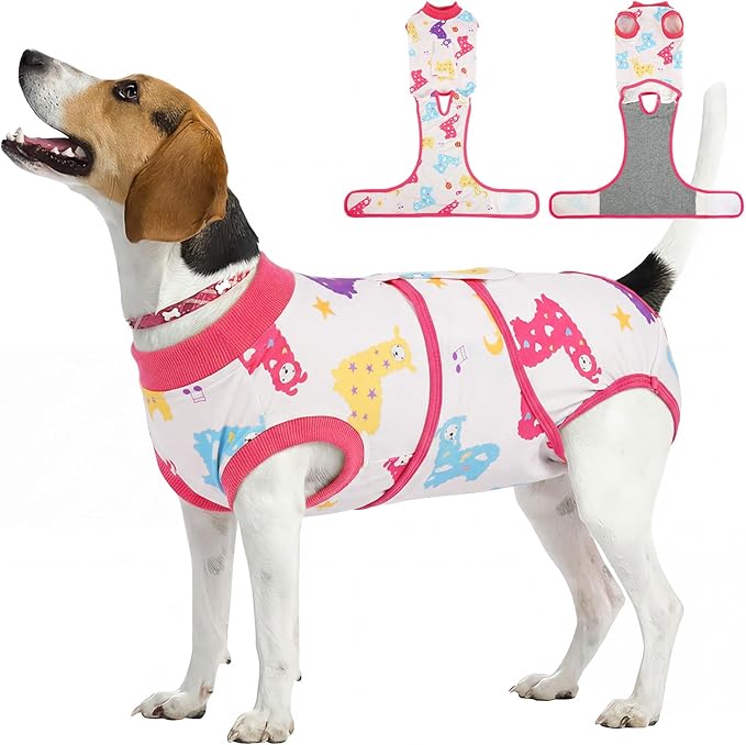 Kuoser Dog Recovery Suit for Surgery, Soft Dog Surgery Suit Female Male Spay Neuter, Anti-Licking Pet Onesie for Abdominal Wounds, Skin Disease, Doggy Cone Alternative Surgical Recovery Bodysuit, M