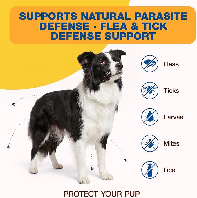 Natural Flea and Tick Prevention for Dogs Chewables, 180 Soft Chews Dog Flea and Tick Treatment, Oral Flea Chews for Dogs, Skin & Coat Support Supplement